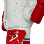DS T/20 Limited Edition Batting Gloves Red Cricket Batting Equipment – view 7