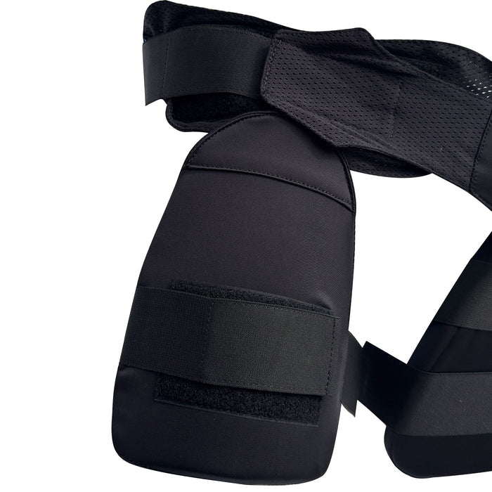 DS T/20 Limited Edition Thigh Pad Cricket Batting Equipment – view 2