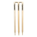 DS Wicket set With Bag Cricket Accessory – view 3