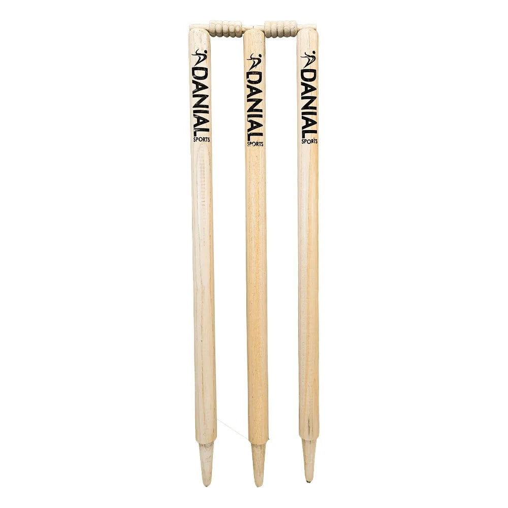 DS Wicket set With Bag Cricket Accessory – view 3