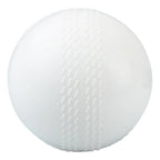 DS Wind Cricket Ball White – view 2