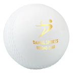 DS Wind Cricket Ball White – view 3