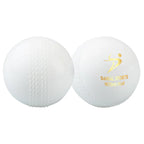 DS Wind Cricket Ball White