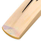 Dsc Condor Blitzer Kashmir Willow Cricket Bat – view 5