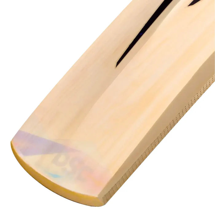 Dsc Condor Blitzer Kashmir Willow Cricket Bat – view 5