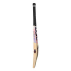 Dsc Condor Blitzer Kashmir Willow Cricket Bat – view 8