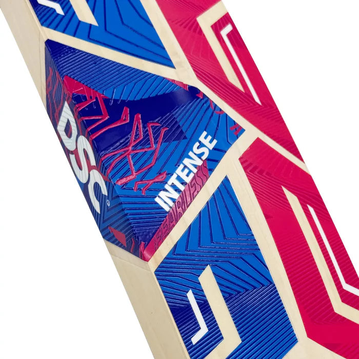 Rear view showing the spine and full profile of the DSC Intense 75 bat from Cricketer Point.