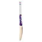 Dsc Intense Shoc English Willow Cricket Bat – view 2
