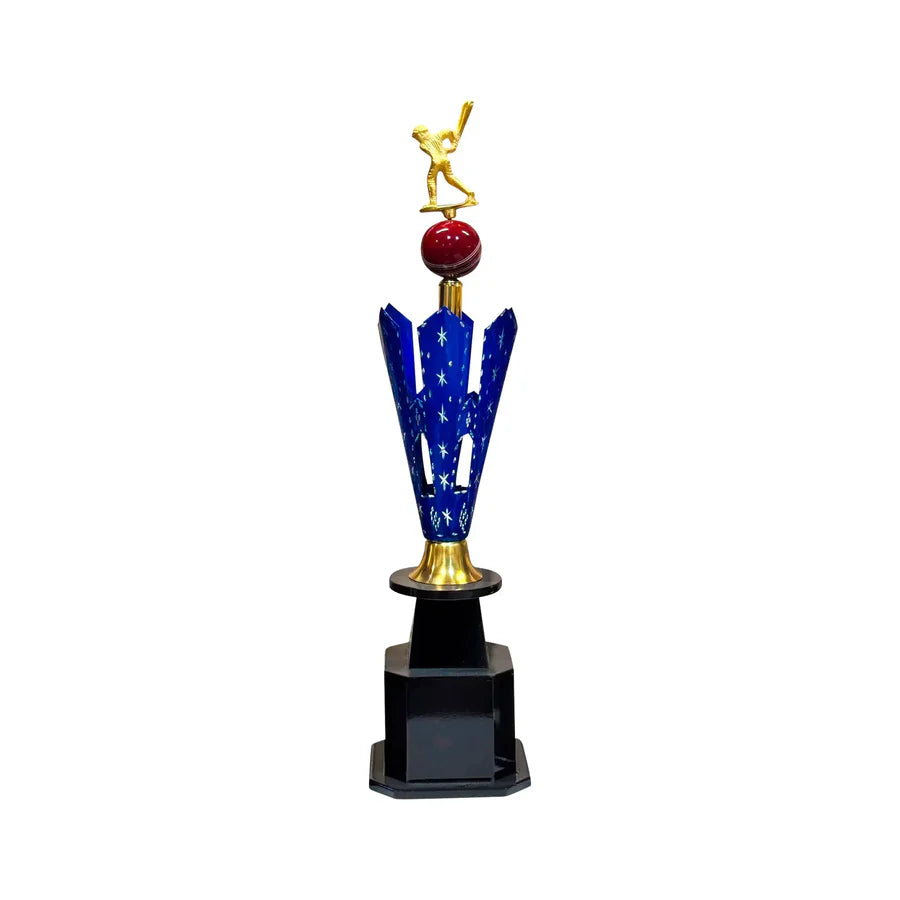 Elite Star Cricket Trophy – view 3