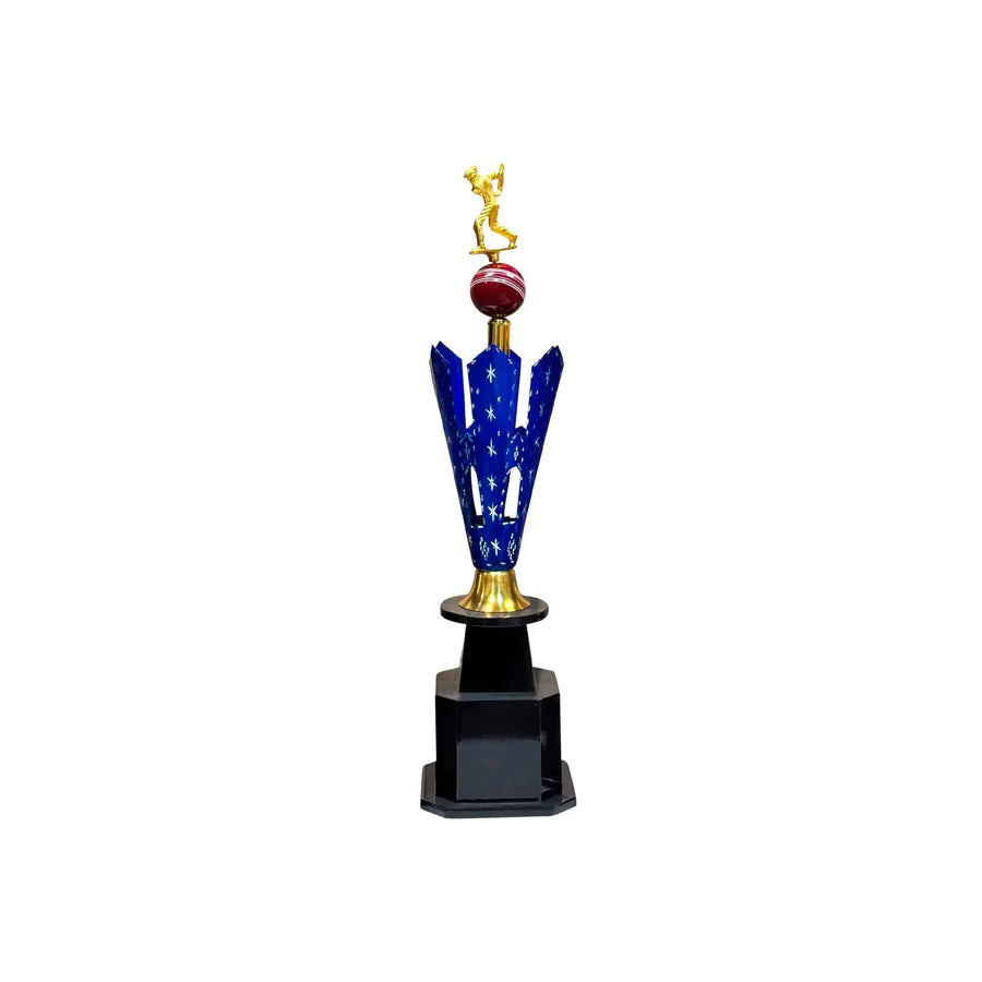 Elite Star Cricket Trophy – view 4