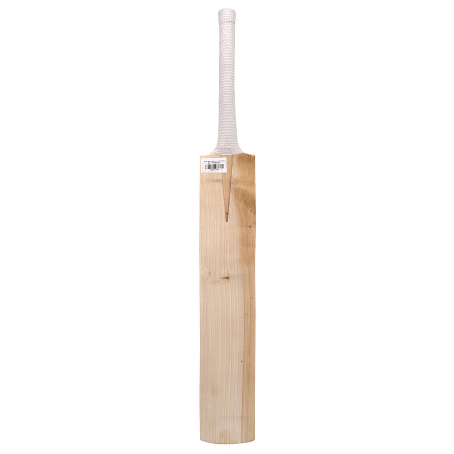 Side profile of 1169g Plain English Willow cricket bat