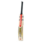 Side profile of Gray Nicolls Victus 200 English Willow Cricket Bat highlighting the full length bow curve and offset edges.
