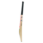 Back view of Gray Nicolls Victus 200 English Willow Cricket Bat at Cricketer Point displaying mid blade swell profile.