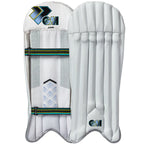 Gunn & Moore Aion Wicketkeeping Pads & Gloves Cricket Set – view 2