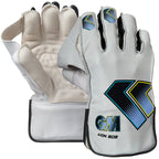 Gunn & Moore Aion Wicketkeeping Pads & Gloves Cricket Set – view 3