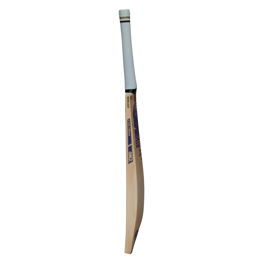Gunn & Moore Brava Signature Cricket Bat – view 2