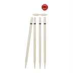Gunn and Moore Diamond Cricket Set – view 4