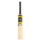 Professional batsman holding Ihsan XPro cricket bat at crease