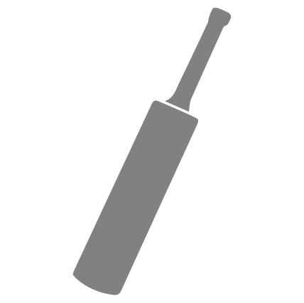 Kashmir Willow Cricket Bats