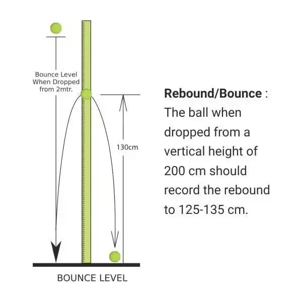 Nivia Heavy tennis Ball (6 Ball)