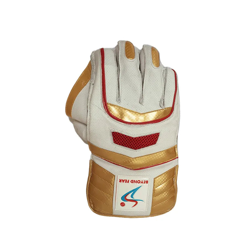 Ds Wicket Keeping Gloves