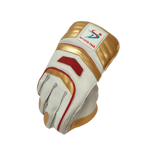 Ds Wicket Keeping Gloves