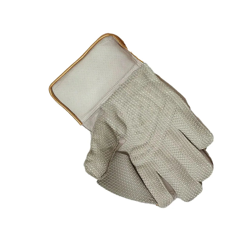 Ds Wicket Keeping Gloves