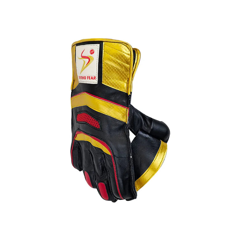 DS 1.0 Wicket Keeping Gloves