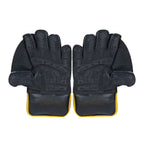 DS 1.0 Wicket Keeping Gloves