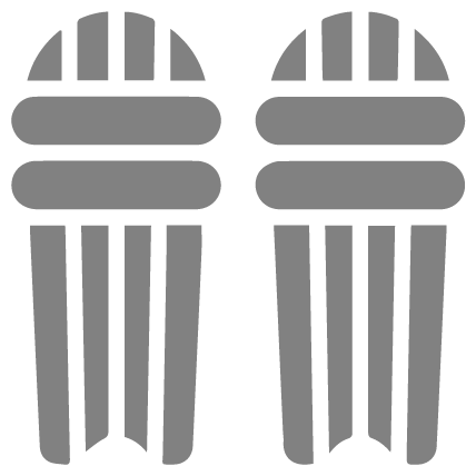 Cricket Batting Pads