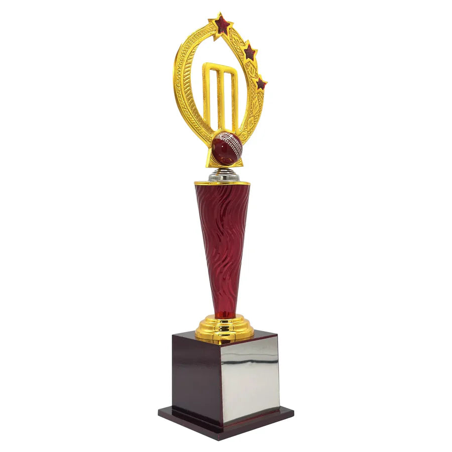 Power Play Cricket Trophy – view 2