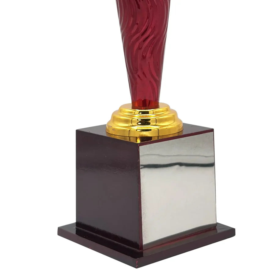 Power Play Cricket Trophy – view 3