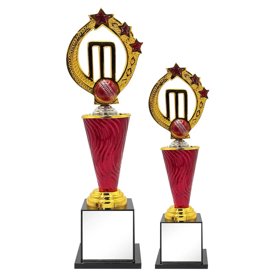 Power Play Cricket Trophy – view 5