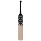 SS Premium Silver Kashmir Willow Bat