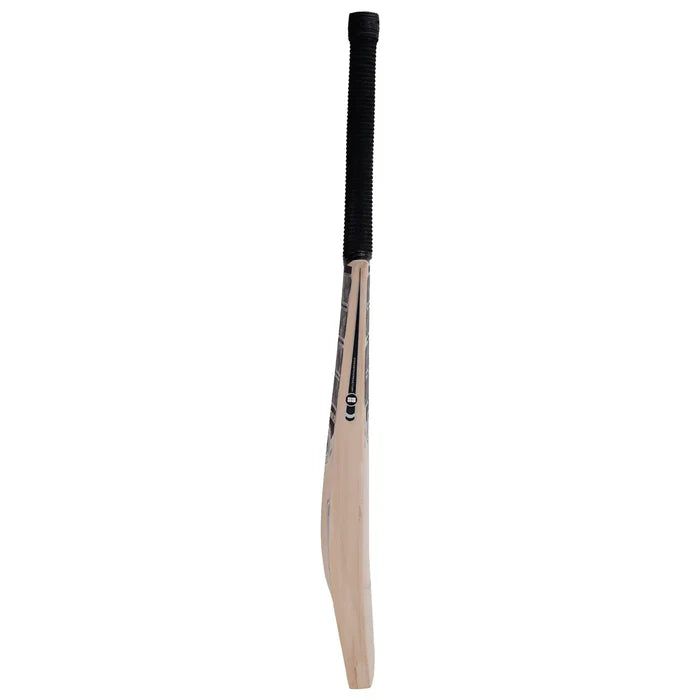 SS Premium Silver Kashmir Willow Bat