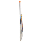 Detail shot of the premium Singapore cane handle and comfortable two-tone grip.