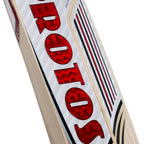Back view of the Protos Internatus bat showing the full-bodied spine profile.
