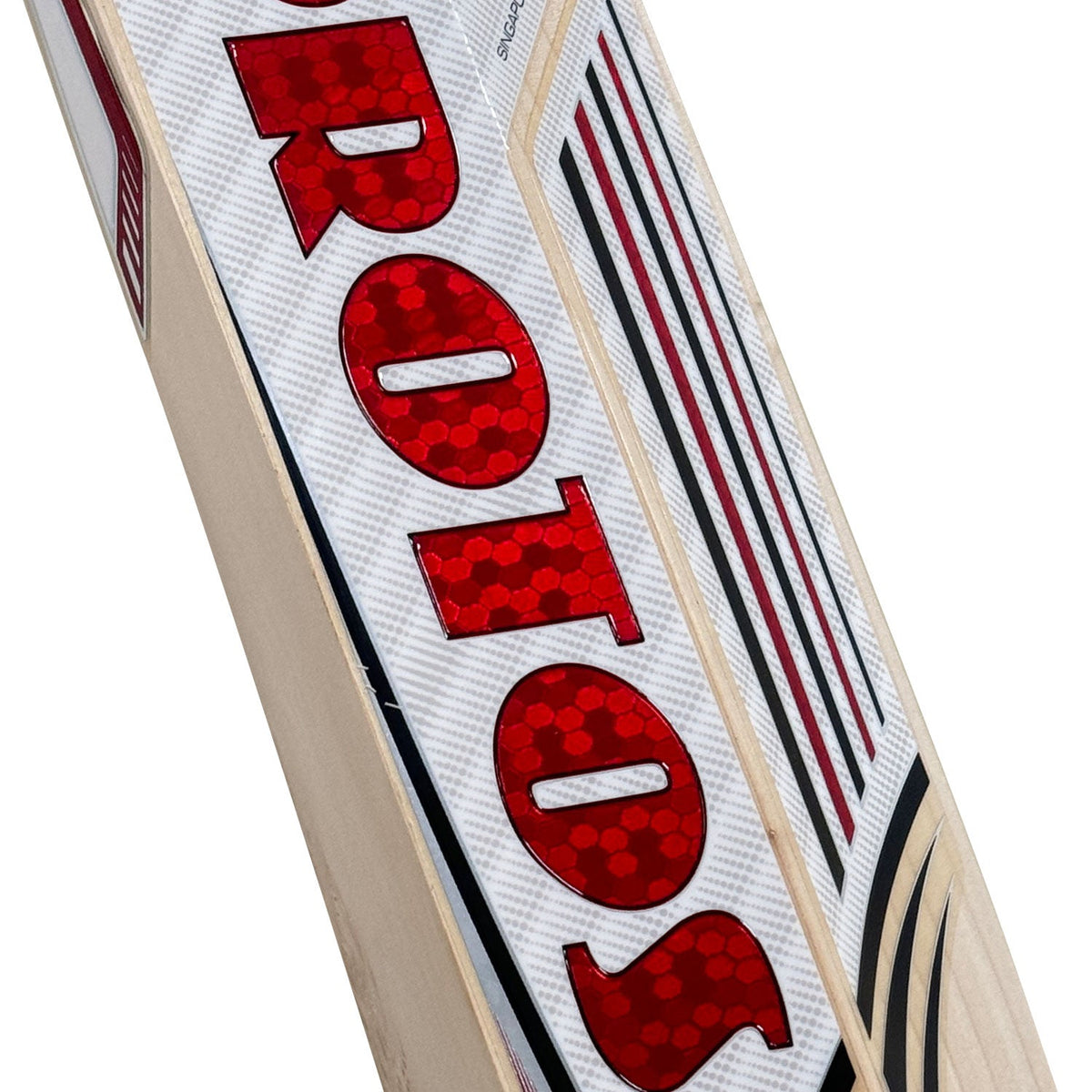 Back view of the Protos Internatus bat showing the full-bodied spine profile.