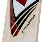 Protos Internatus English Willow Cricket Bat showing the high spine for extra power.