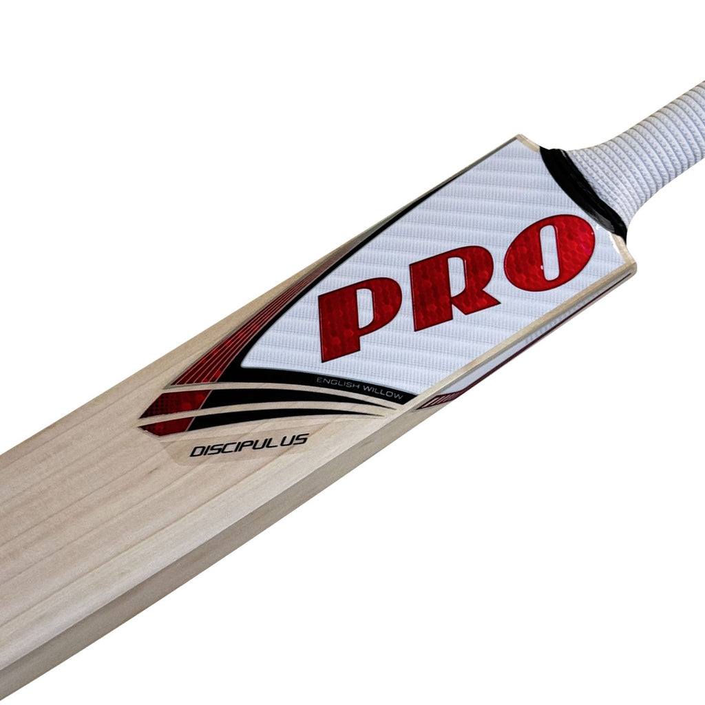Protos Internatus English Willow Cricket Bat – view 16
