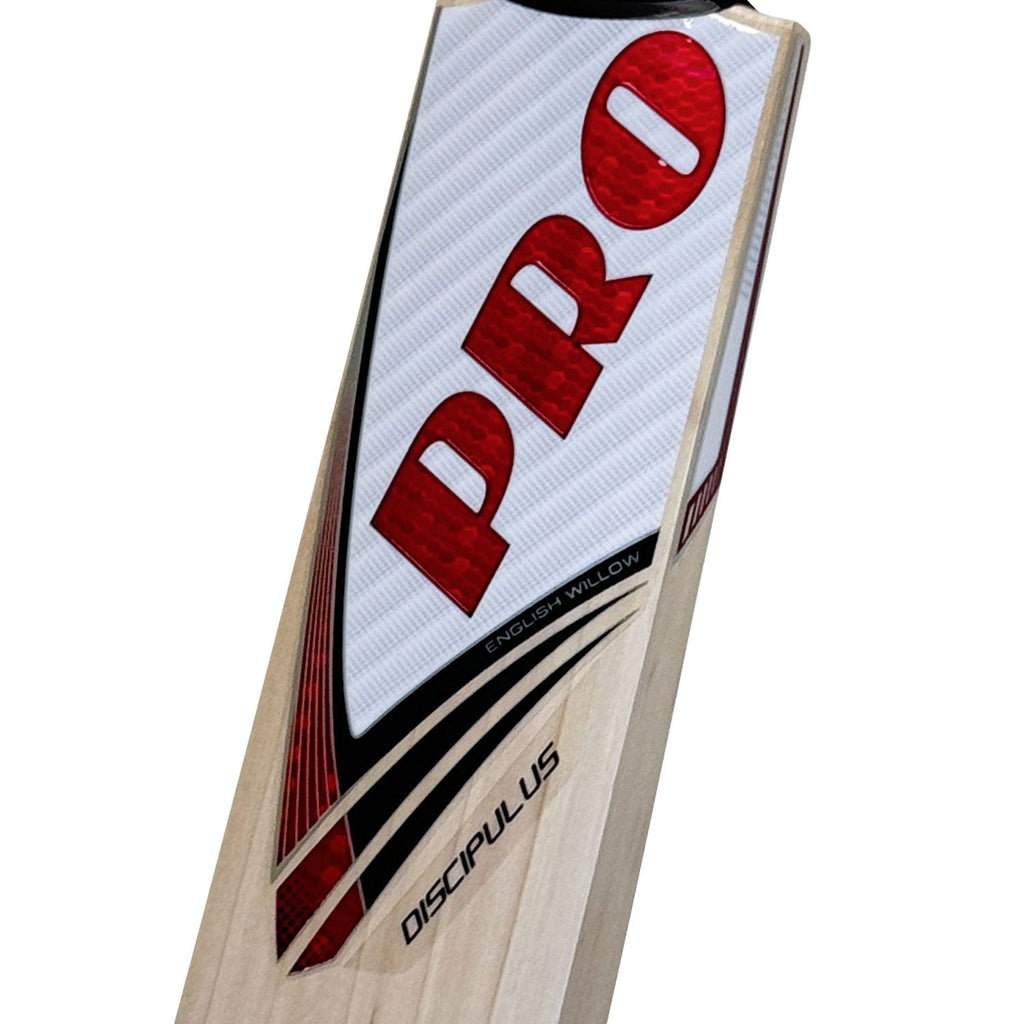 Protos Numisma English Willow Cricket Bat displayed next to a red leather cricket ball.