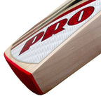 Protos Numisma English Willow Cricket Bat leaning against a professional cricket gear bag.