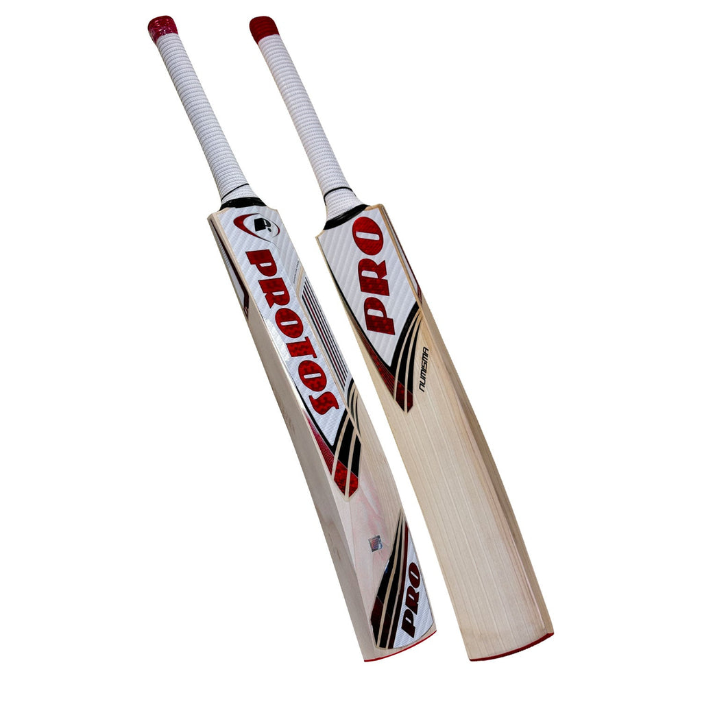 Protos Numisma English Willow Cricket Bat showing the premium straight wood grains.