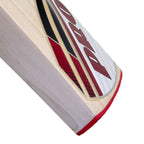 Back view showing the high spine profile of the Protos Usus English Willow bat.