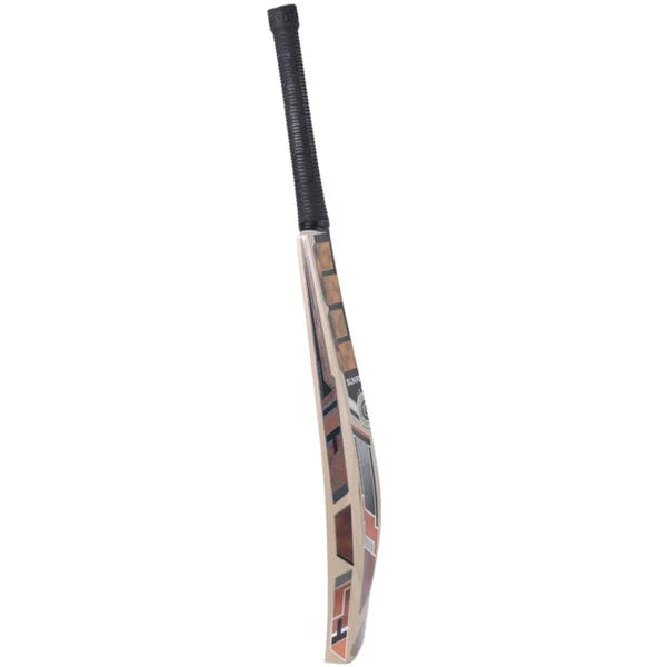 SS Premium Gold 3.0 Kashmir Willow Cricket Bat