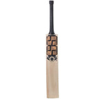 SS Premium Gold 3.0 Kashmir Willow Cricket Bat