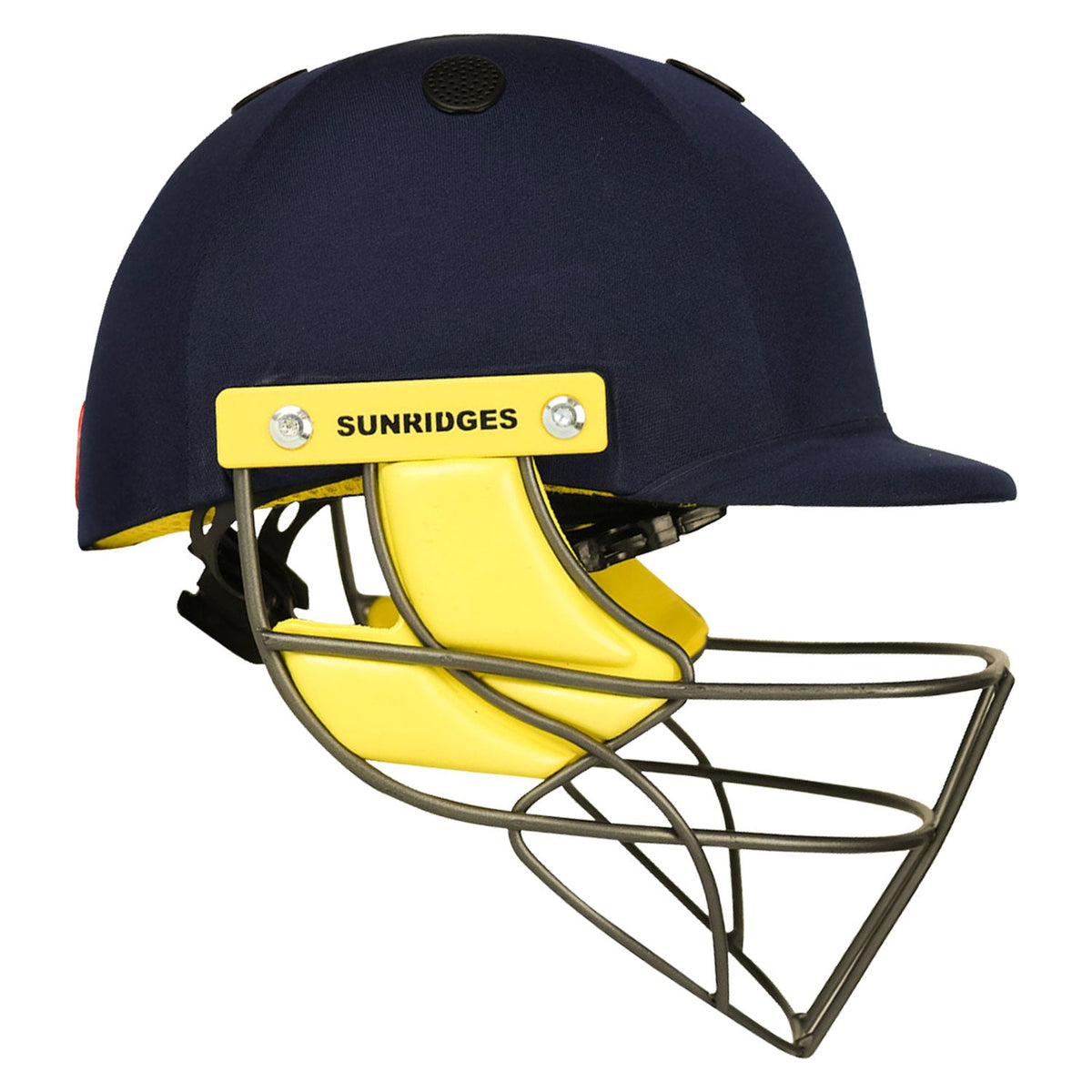 SS Pro Premium Cricket Helmet – view 3