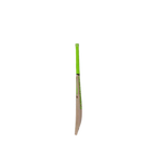 SS Retro Classic Elite Cricket Bat – view 3
