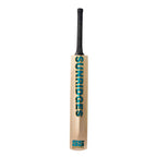 SS Vintage Jumbo Kashmir Willow Cricket Bat – view 3