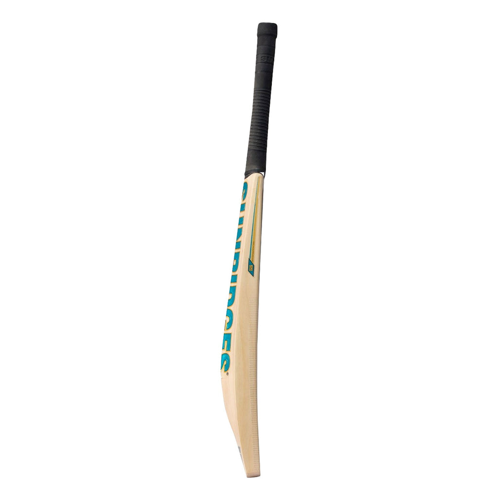 SS Vintage Jumbo Kashmir Willow Cricket Bat – view 4